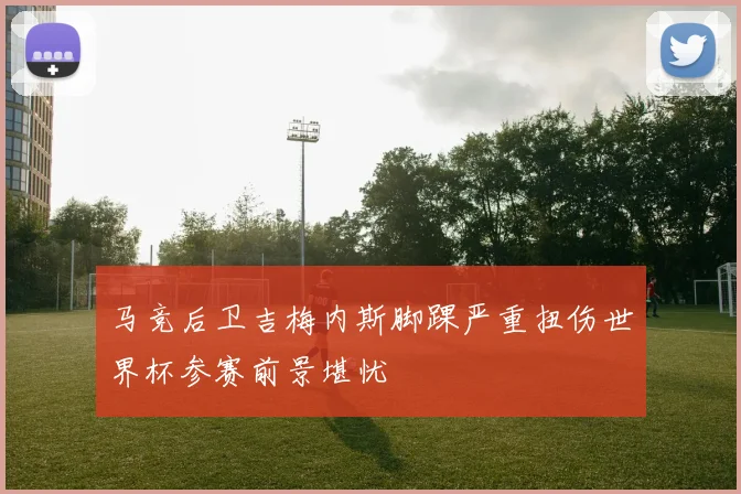 马竞后卫吉梅内斯脚踝严重扭伤世界杯参赛前景堪忧