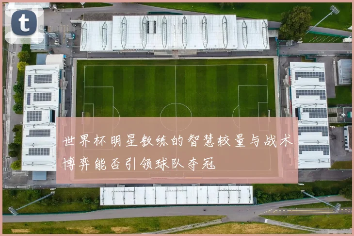 世界杯明星教练的智慧较量与战术博弈能否引领球队夺冠