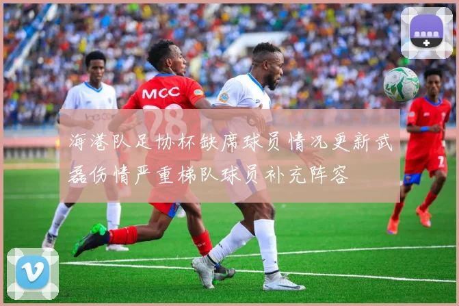 海港队足协杯缺席球员情况更新武磊伤情严重梯队球员补充阵容